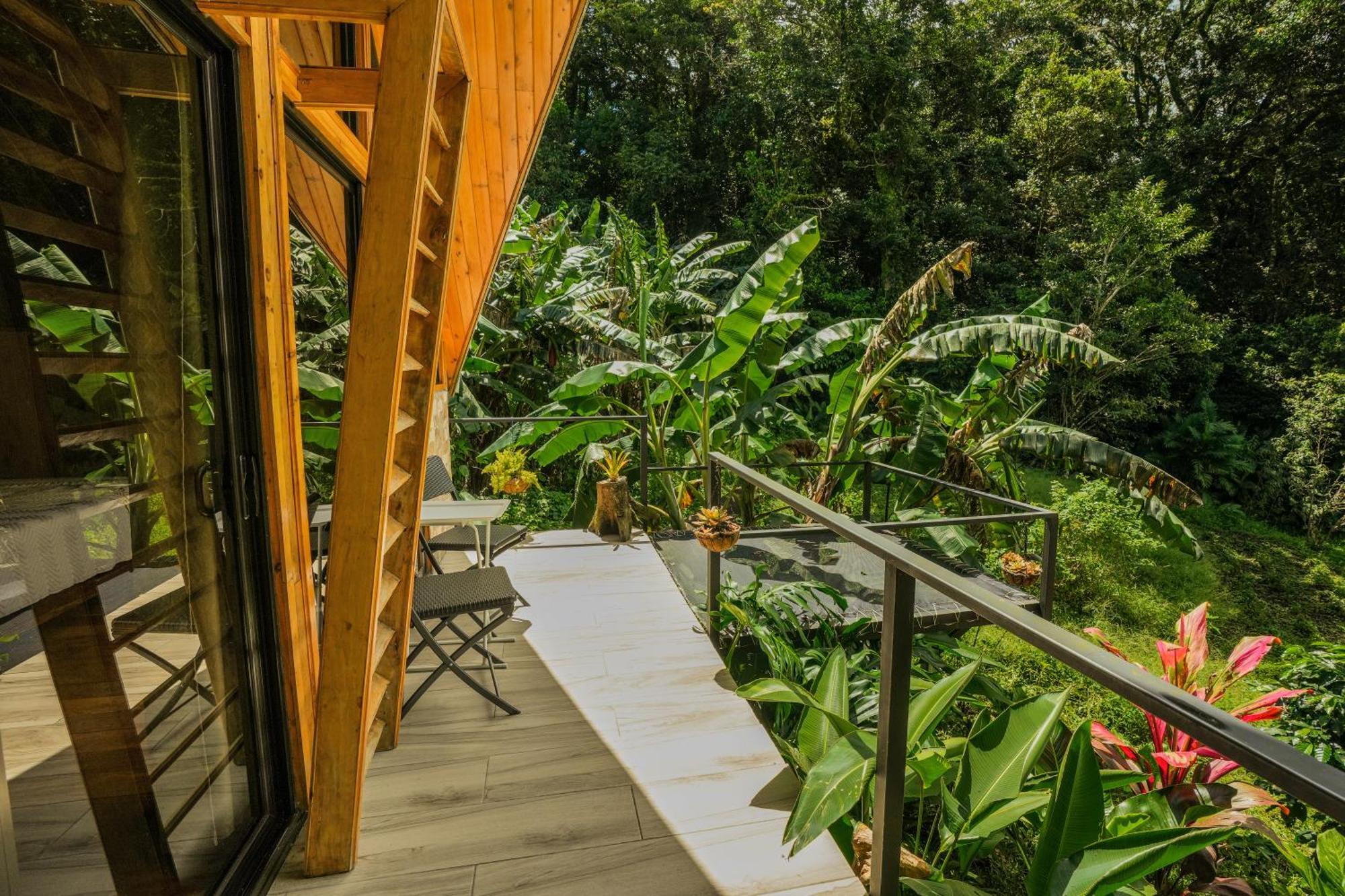 Tityra Lodge Monteverde Esterno foto