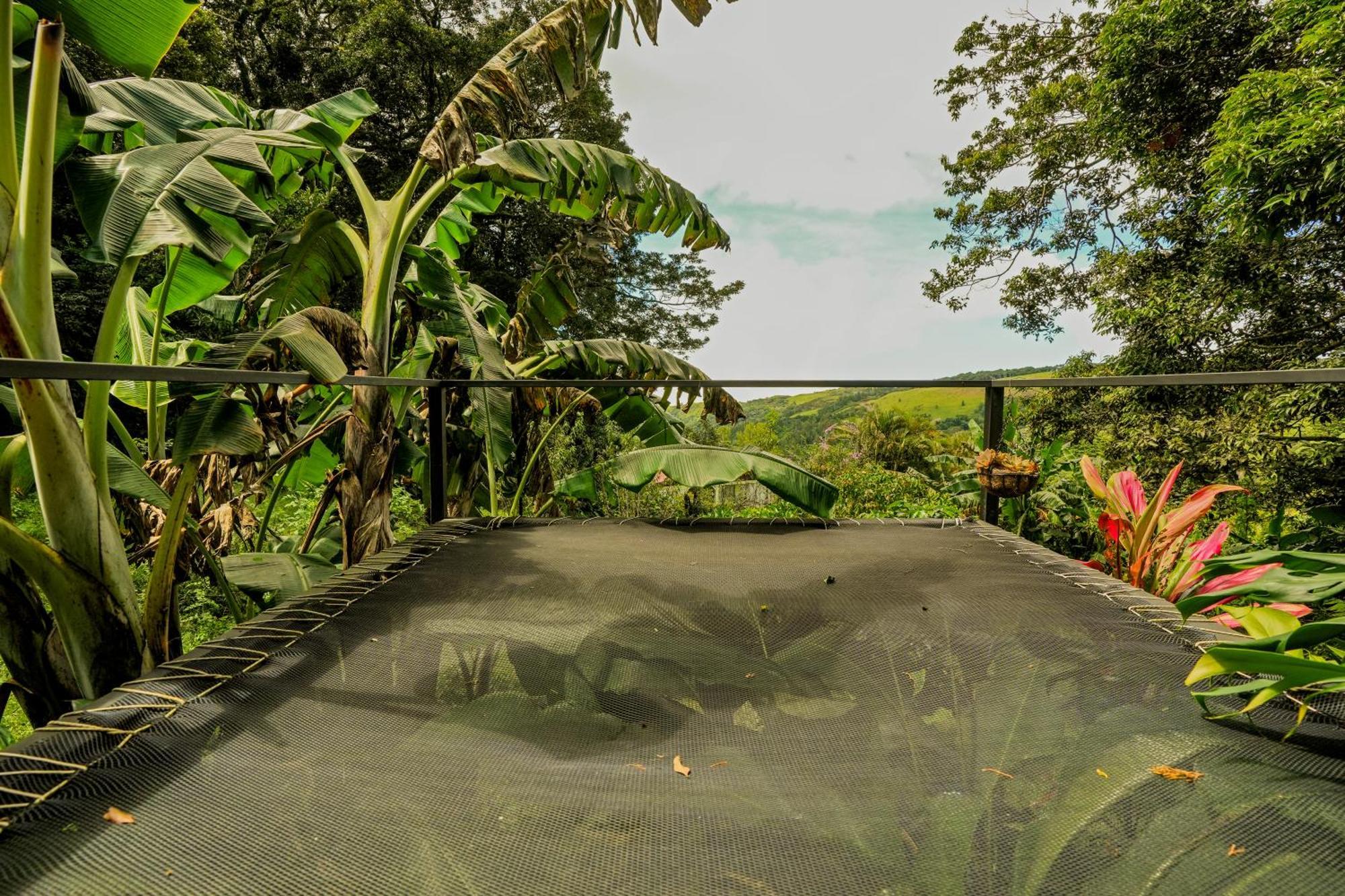 Tityra Lodge Monteverde Esterno foto