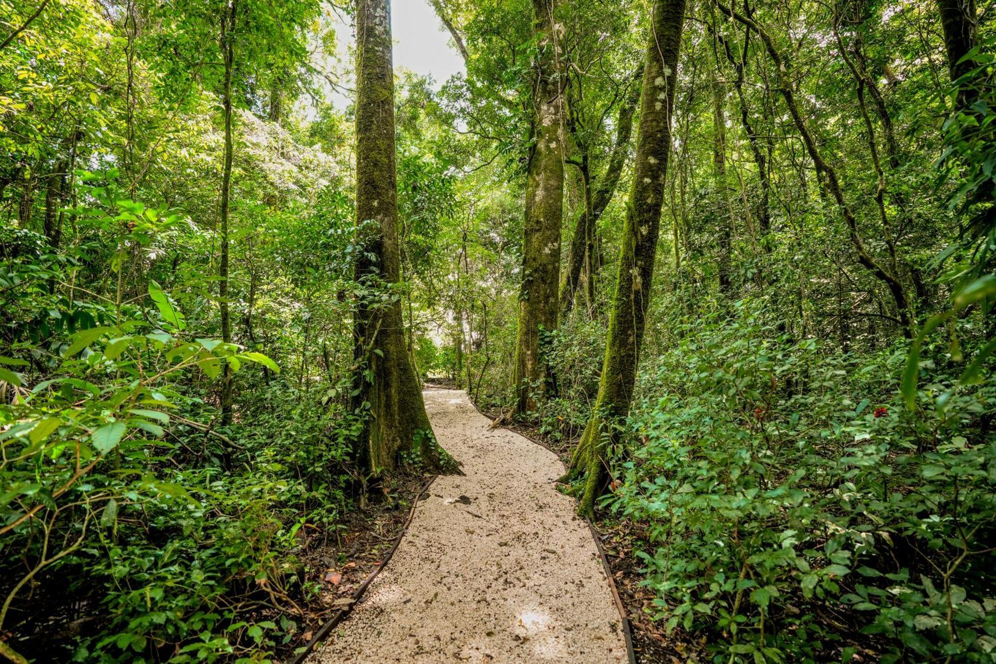 Tityra Lodge Monteverde Esterno foto